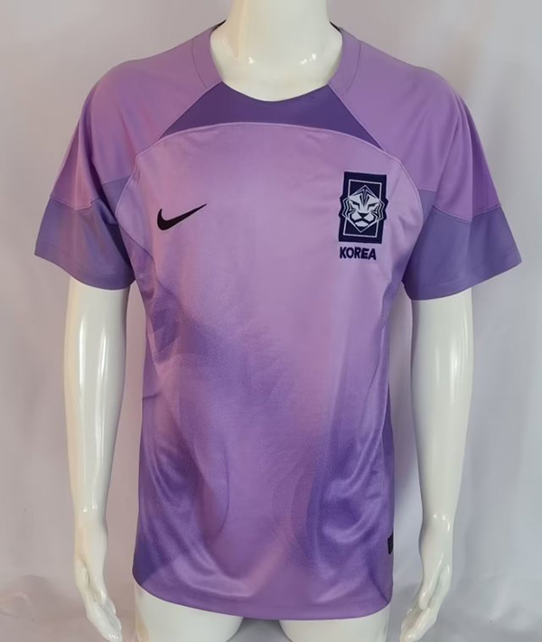 AAA Quality South Korea 2022 World Cup GK Purple Jersey